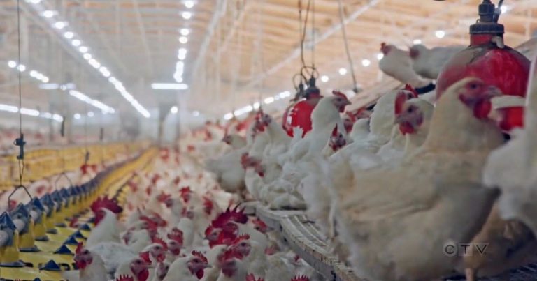 Here We Go! So-Called ‘Experts’ Sound Alarms Over Yet Another ‘Pandemic’!