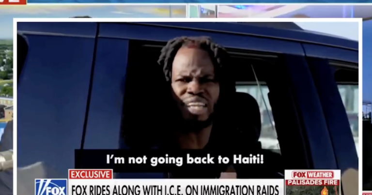 LOL! Homan Responds to Illegal Declaring He’s ‘Not Going Back to Haiti’