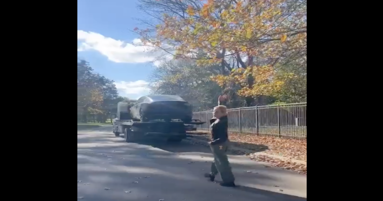 EPIC FAIL! Sheryl Crow Attempts to Protest Musk – Just Looks Stupid Instead