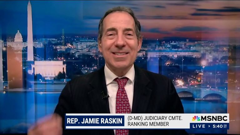 WUT? Raskin Claims GOP ‘At War’ with ‘Government of the People’