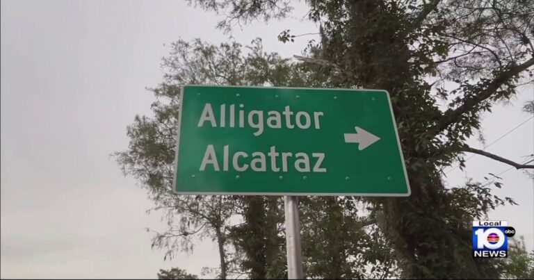 Trump, DeSantis Reveal Florida Detention Center: ‘Alligator Alcatraz’